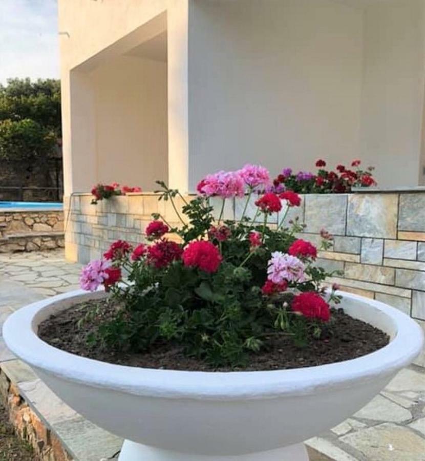 Villa Spartias Скиатос Экстерьер фото